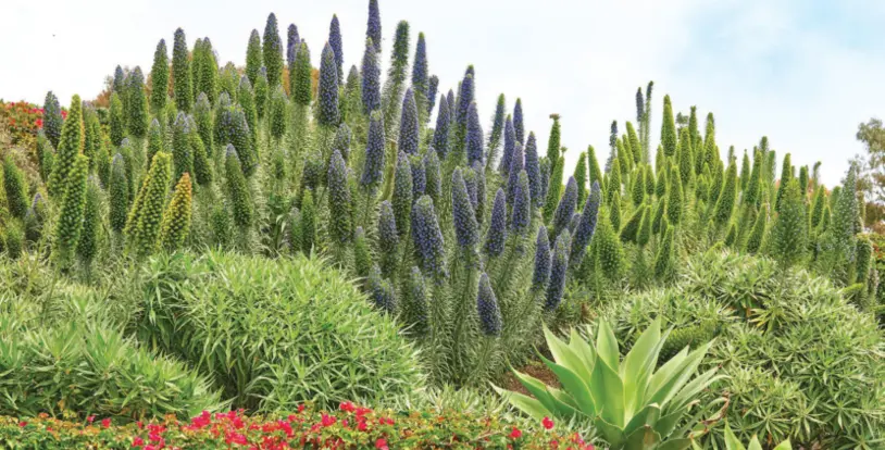 Plants ESG Report cover